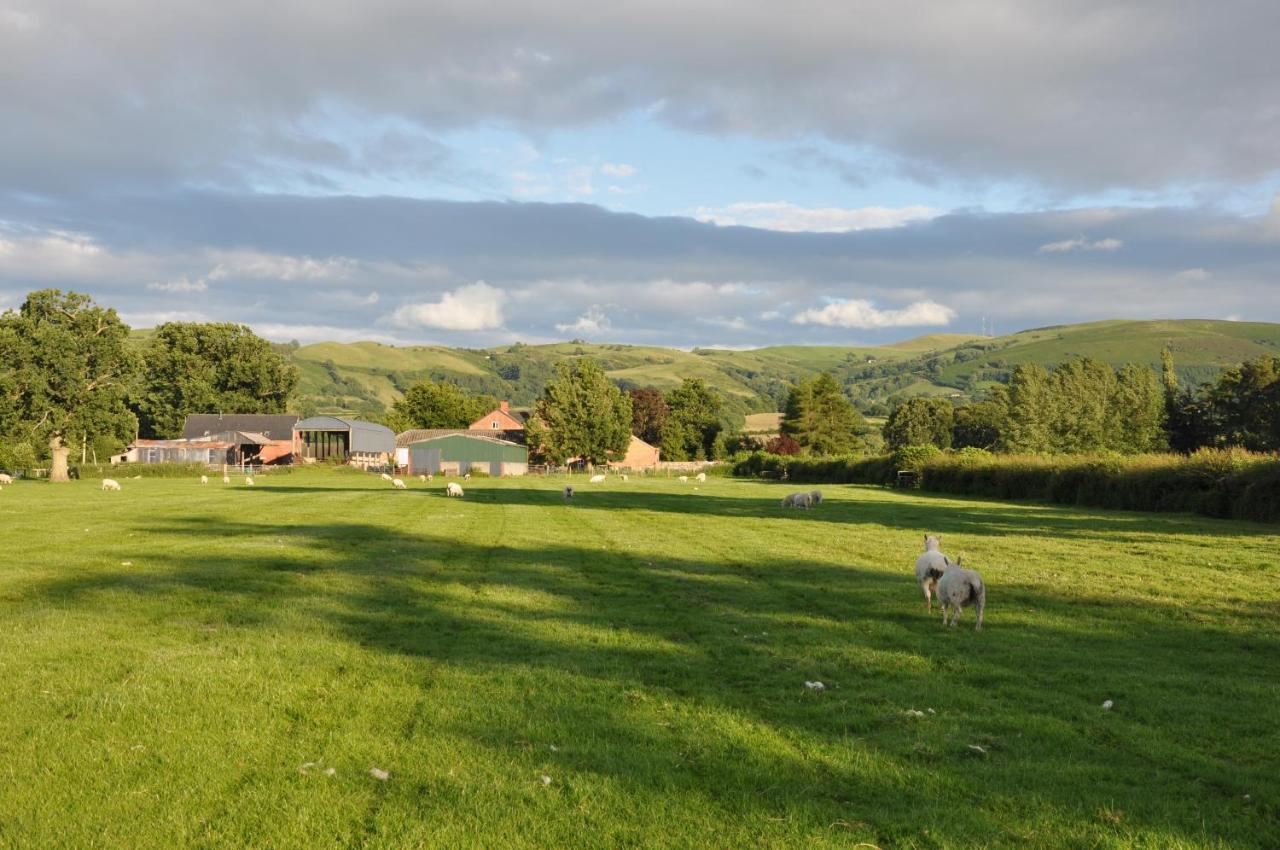 Mid Wales Arts B&B Caersws Extérieur photo